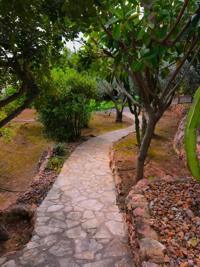 Villa La Torreta Ref 056 Castellon de la Plana Ngoại thất bức ảnh