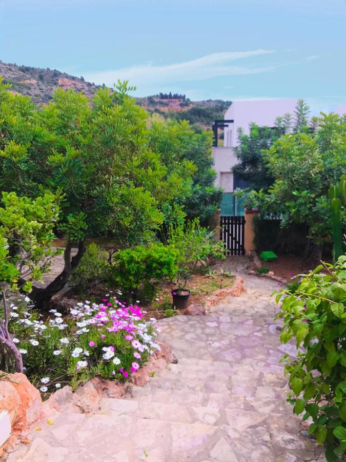 Villa La Torreta Ref 056 Castellon de la Plana Ngoại thất bức ảnh